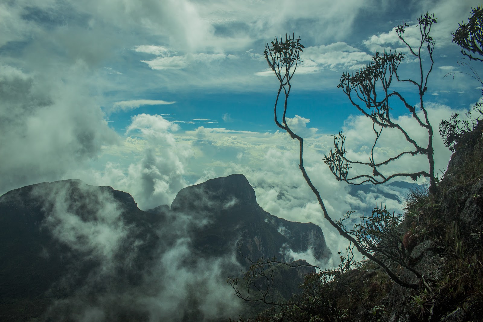 Pico da Neblina volta a ser palco dos aventureiros 