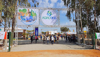 Expositores de dentro e fora do Estado falam da expectativa pela volta da Agrotins de forma presencial