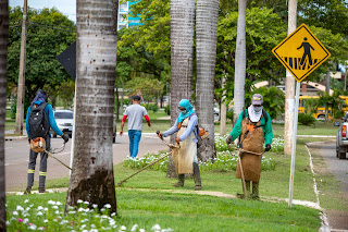 Paisagismo de avenidas e Parque Cesamar recebem manutenção