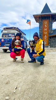 Do Tocantins ao Fim do Mundo: casal e pets chegam ao Ushuaia em Kombi