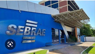 Sebrae Tocantins comemora os resultados do quadriênio 2019-2022