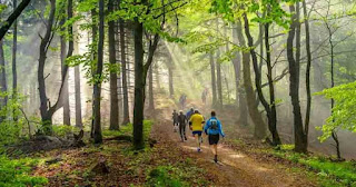 Turismo ecológico motiva viagens domésticas a lazer no Brasil