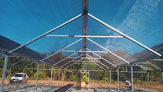 Centro de Recuperação de Áreas Degradadas de Palmas será inaugurado na Agrotins Carbono Neutro 2023 