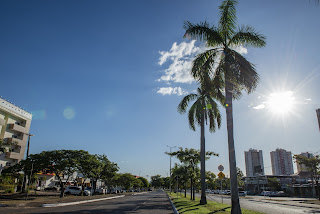 Entidades têm novo prazo para se inscrever no Conselho Municipal de Meio Ambiente de Palmas