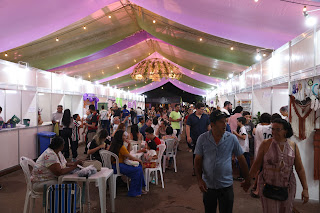 Festa da Jabuticaba em Taquaruçu atrai público em busca de diversidade de sabores