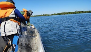 Portarias da Piracema e da Pesca Profissional no Tocantins: entenda as regras de cada uma delas