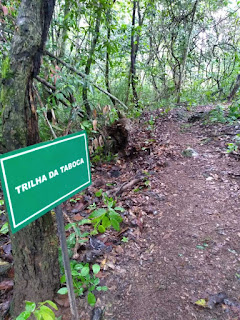 Trilha da Cachoeira da Velha, no Jalapão, é reaberta à visitação após manutenção preventiva