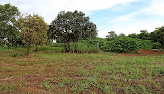Governo do Tocantins doa terreno para construção do Hospital Municipal de Palmas