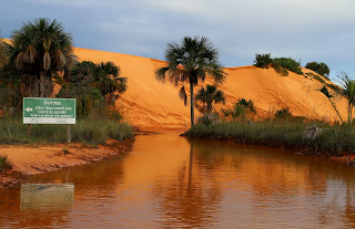 Naturatins celebra 35 anos de preservação ambiental 