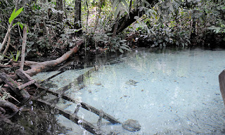 Região do Jalapão ganha instância de governança e roteiro do turismo de base comunitária 