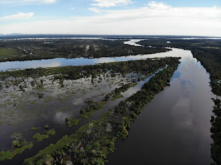Cantão: Encontro dos biomas amazônico, cerrado e pantanal é atração imperdível no Tocantins