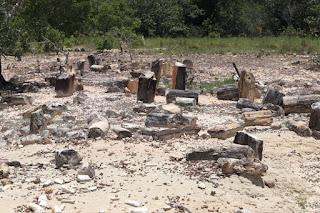 Dia Mundial do Meio Ambiente: Unidades de Conservação garantem preservação da biodiversidade no Tocantins