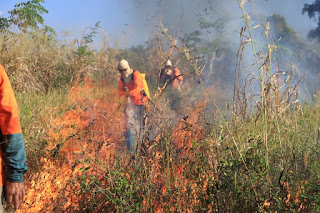 Brigadistas recebem treinamento para combate a incêndios no Parque Estadual do Cantão