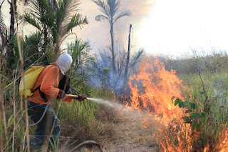 Jalapão recebe ações preventivas contra queimadas e incêndios florestais
